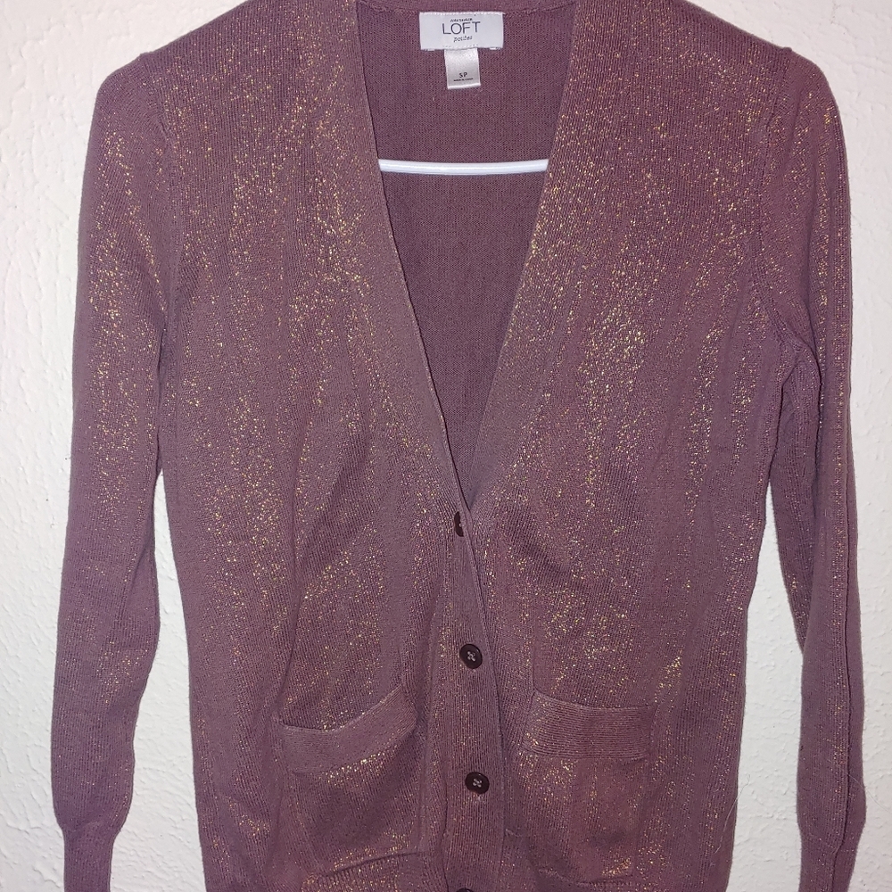 Loft women's SP glitter sweater